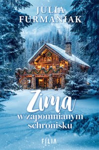 Bild von Zima w zapomnianym schronisku Wielkie Litery