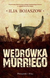 Bild von Wędrówka Murriego