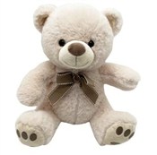 Polnische buch : Miś Wojtuś...