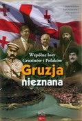 Polska książka : Gruzja nie... - Piotr Hlebowicz, Dawid Kolbaia, Piotr Warisch