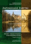 Zapomniane... - Elżbieta Molak, Ireneusz Racławicki -  fremdsprachige bücher polnisch 