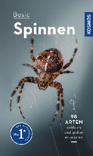 Obrazek WILKER, L: BASIC SPINNEN