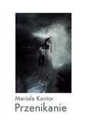 Polnische buch : Przenikani... - Mariola Kantor