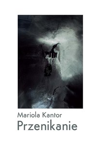 Bild von Przenikanie