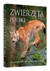 Obrazek Zwierzęta Polski Szczegółowe opisy 300 gatunków
