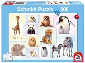 Puzzle 200... -  Polnische Buchandlung 