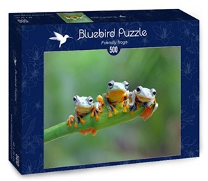 Bild von Puzzle 500 Żaby