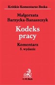 Kodeks Pra... - Małgorzata Barzycka-Banaszczyk - buch auf polnisch 