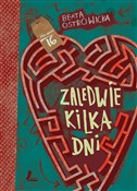 Zaledwie k... - Beata Ostrowicka -  polnische Bücher