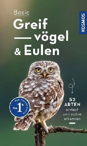 Bild von DIERSCHKE, V: BASIC GREIFVÖGEL UND EULEN