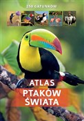 Zobacz : Atlas ptak... - Kamila Twardowska, Jacek Twardowski