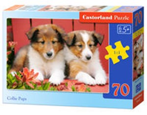 Obrazek Puzzle Collie Pups 70