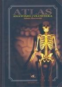 Obrazek Atlas anatomii człowieka