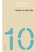 Polska książka : Notatki z ... - Friedrich Nietzsche