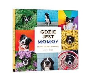 Bild von Gdzie jest Momo?