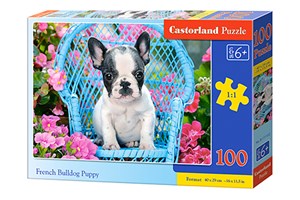 Bild von Puzzle 100 French Bulldog Pup