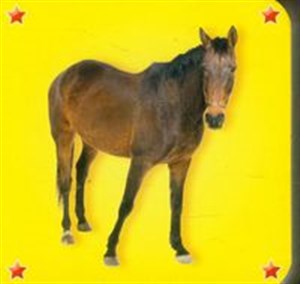 Bild von Kosteczka Koń