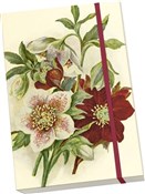 Notatnik o... - buch auf polnisch 