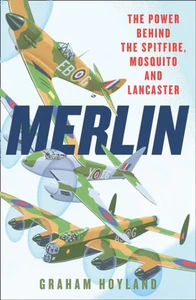 Obrazek Merlin