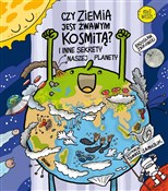 Polnische buch : Czy Ziemia... - Radosław Żbikowski