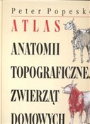 Atlas anat... - Peter Popesko -  polnische Bücher