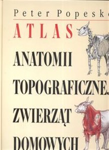 Bild von Atlas anatomii topograficznej zwierząt domowych