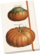 Polnische buch : Notatnik o...