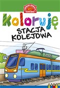 Koloruję S... - Opracowanie Zbiorowe -  fremdsprachige bücher polnisch 