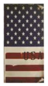 Bild von Notes H5/114K USA