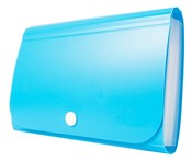 Organizer ... - buch auf polnisch 