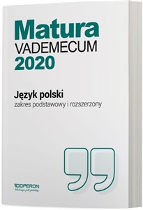 Bild von Język polski Matura 2020 Vademecum Zakres podstawowy i rozszerzony Szkoła ponadgimnazjalna
