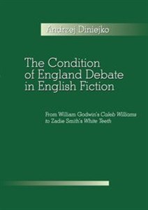 Bild von The Condition of England Debate in English Fiction