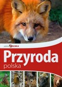 Piękna Pol... - Marek Klimek -  polnische Bücher