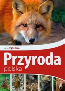 Obrazek Piękna Polska Przyroda polska