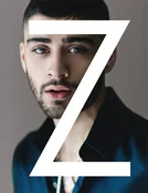 Polnische buch : Zayn - Malik Zayn