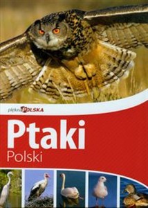 Obrazek Piękna Polska Ptaki Polski