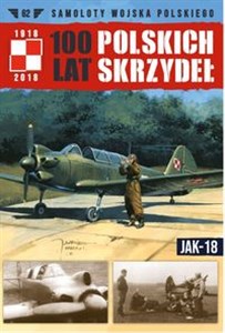 Obrazek 100 Lat Polskich Skrzydeł Tom 62 Jak-18