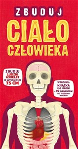 Bild von Zbuduj ciało człowieka