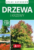 Polnische buch : Drzewa i k... - Renata Krzyściak-Kosińska, Marek Kosiński, Łukasz Przybyłowicz
