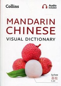 Bild von Collins Mandarin Chinese Visual Dictionary