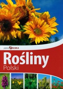 Obrazek Piękna Polska Rośliny Polski