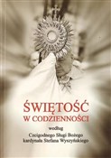 Książka : Świętość w... - ks. Łukasz Białk, ks. Stanisław Urbański