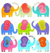 Polnische buch : Karnet KW ...