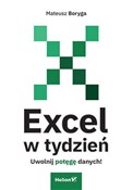 Excel w ty... - Mateusz Boryga -  Polnische Buchandlung 