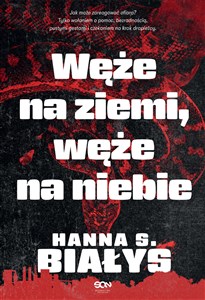 Bild von Węże na ziemi, węże na niebie