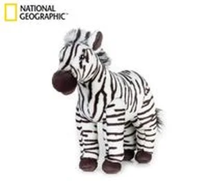Obrazek Zebra