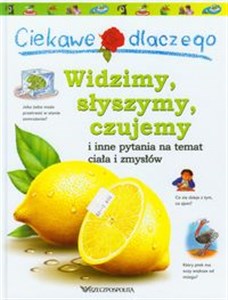 Bild von Ciekawe dlaczego Widzimy słyszymy czujemy i inne pytania na temat ciała i zmysłów