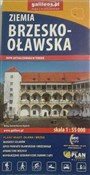 Polska książka : Mapa - Zie... - Opracowanie Zbiorowe
