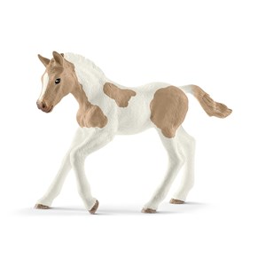 Bild von Koń Paint Horse Foal