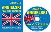 Język angi... -  polnische Bücher